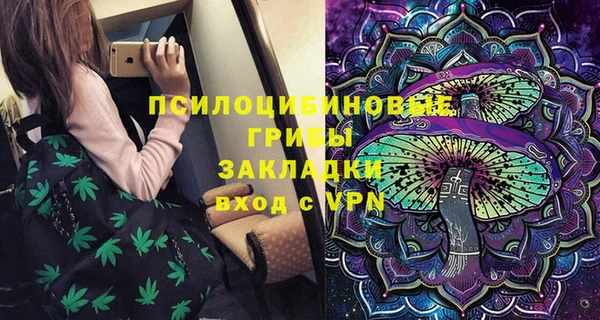 ALPHA-PVP Богородицк