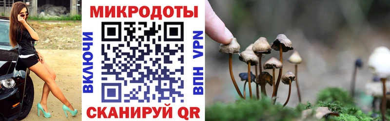 Псилоцибиновые грибы MAGIC MUSHROOMS  кракен рабочий сайт  Новочеркасск 